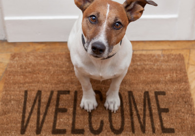 Welcome: Colleges Re-Open for Visitors